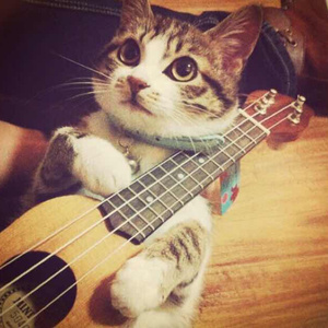 久久久三级视频
